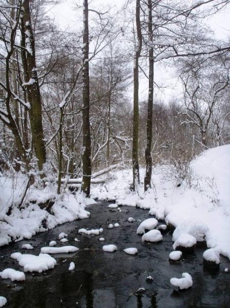 Benešovský potok v zimě