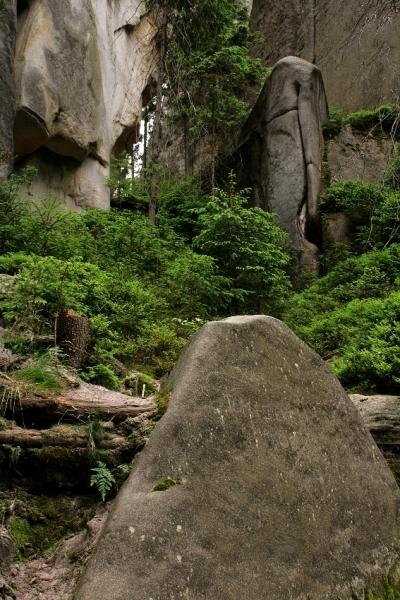 Zátiší v Adršpašských skalách