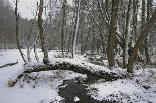 Zima na Jedovnickém potoce