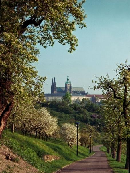 Jaro v Praze