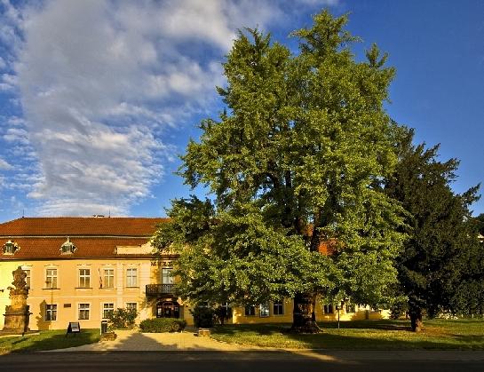 Museum
