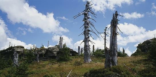 Na vrcholu