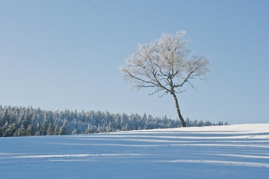 Osamělý