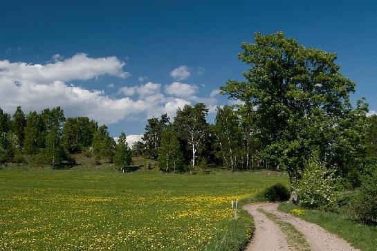 Jarní krajina
