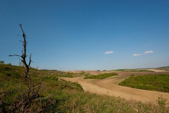 na Pouzdřanské stepi