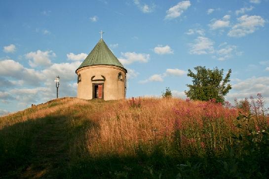 Mědník