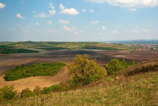 Pouzdřanská step a její okolí