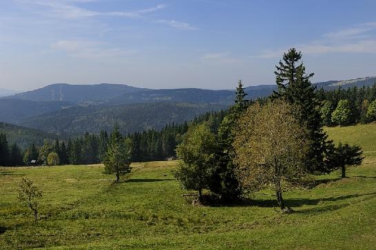 Přední Žalí