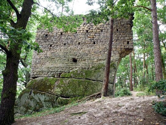 Zřícenina Vítkovec