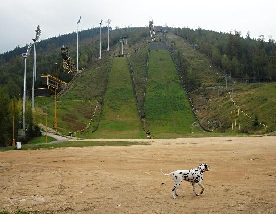 Předskokan