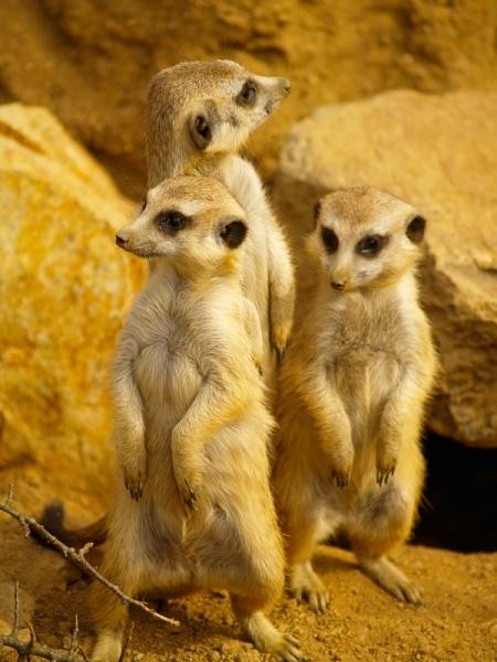 Zoo Jihlava