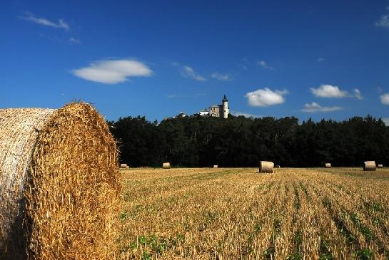 Kunětická hora