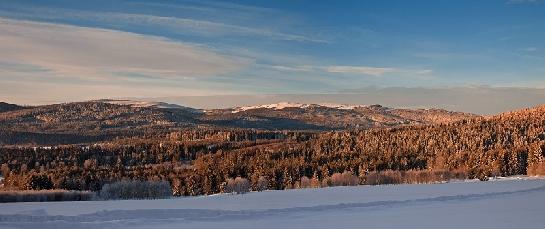 Panorama hraničních hor Šumavy