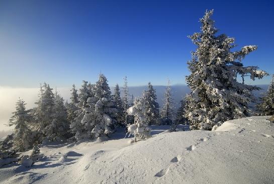 Byskydské pohledy