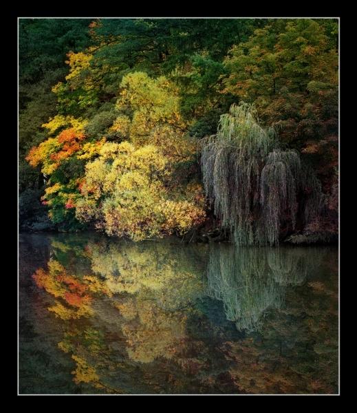 Podzim u jezera v Žinkovech