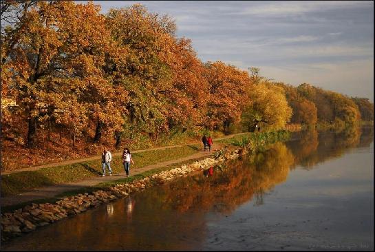 Rybník v Dolních Počernicích
