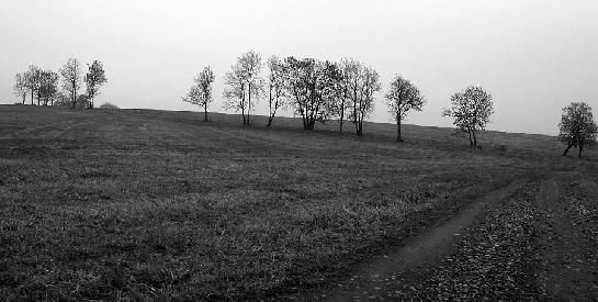 Podzimní cesta